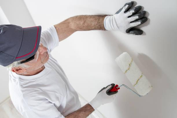  Palmyra, WI Mold Removal Pros