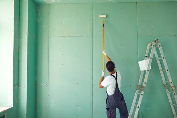 Best Environmental Consulting for Mold Prevention  in Palmyra, WI