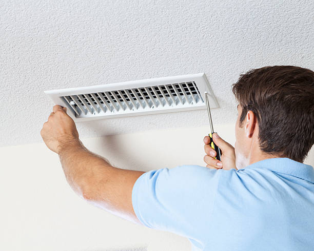 Best Asbestos and Lead Testing During Mold Inspection  in Palmyra, WI