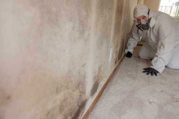 Mold Remediation for Rental Properties in Palmyra, WI