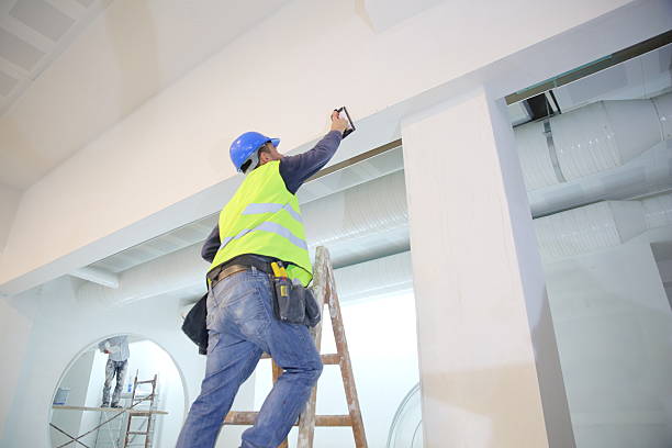 Professional Mold Removal in Palmyra, WI