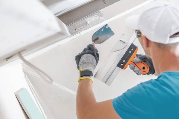 Best Mold Prevention Services  in Palmyra, WI